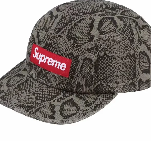 Serpentine Cowboy Washed Chino Washed Blue Pattern Button 24SS Leather Hat Baseball 0715